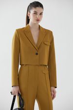 SACO-MITOSIS