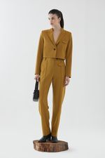 SACO-MITOSIS