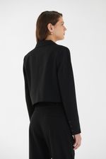 SACO-MITOSIS