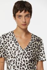 REMERA-BOREAL