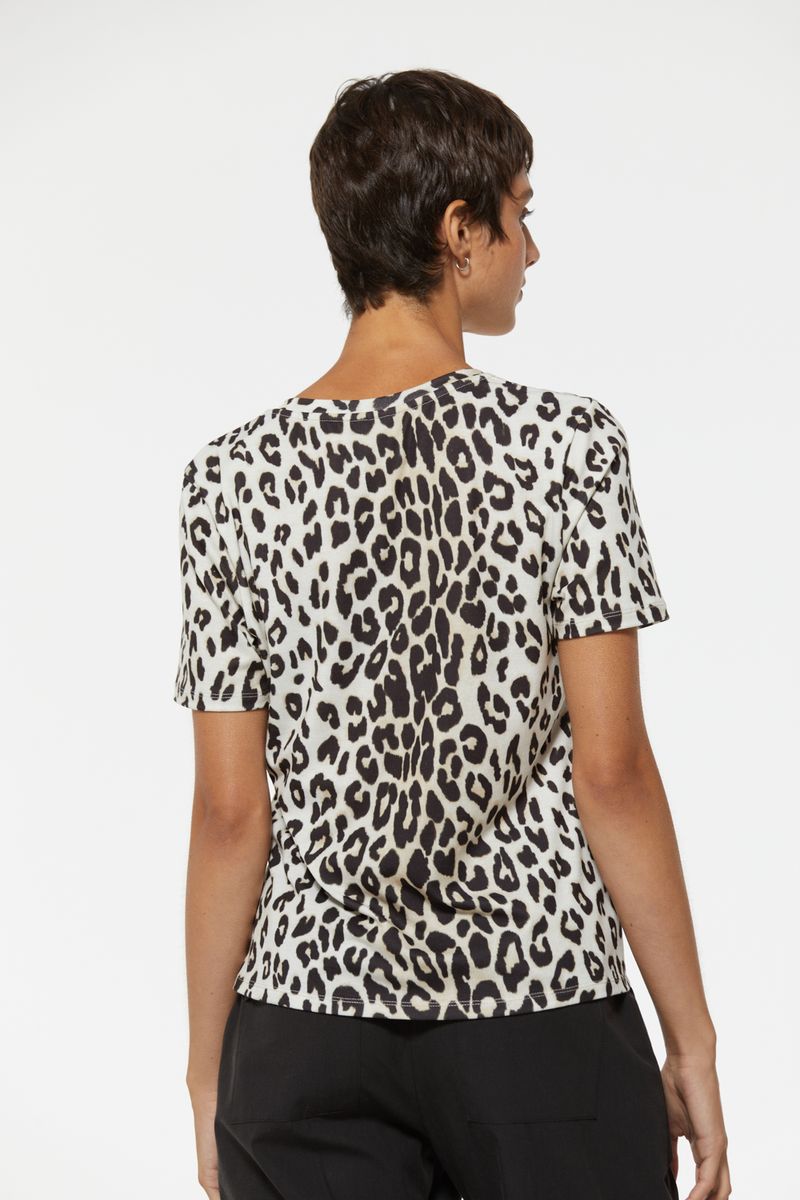 REMERA-BOREAL