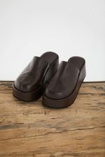 ZAPATO-ESPECIE