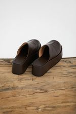 ZAPATO-ESPECIE