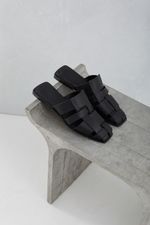 MULES-PLUTON