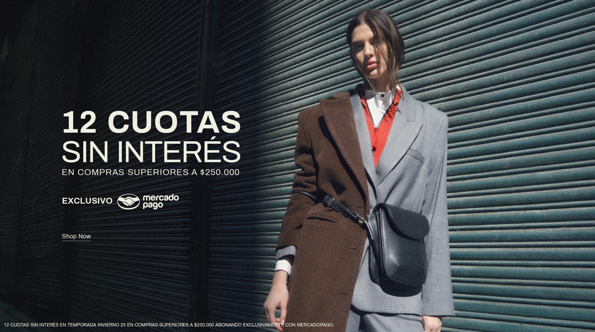 12 cuotas