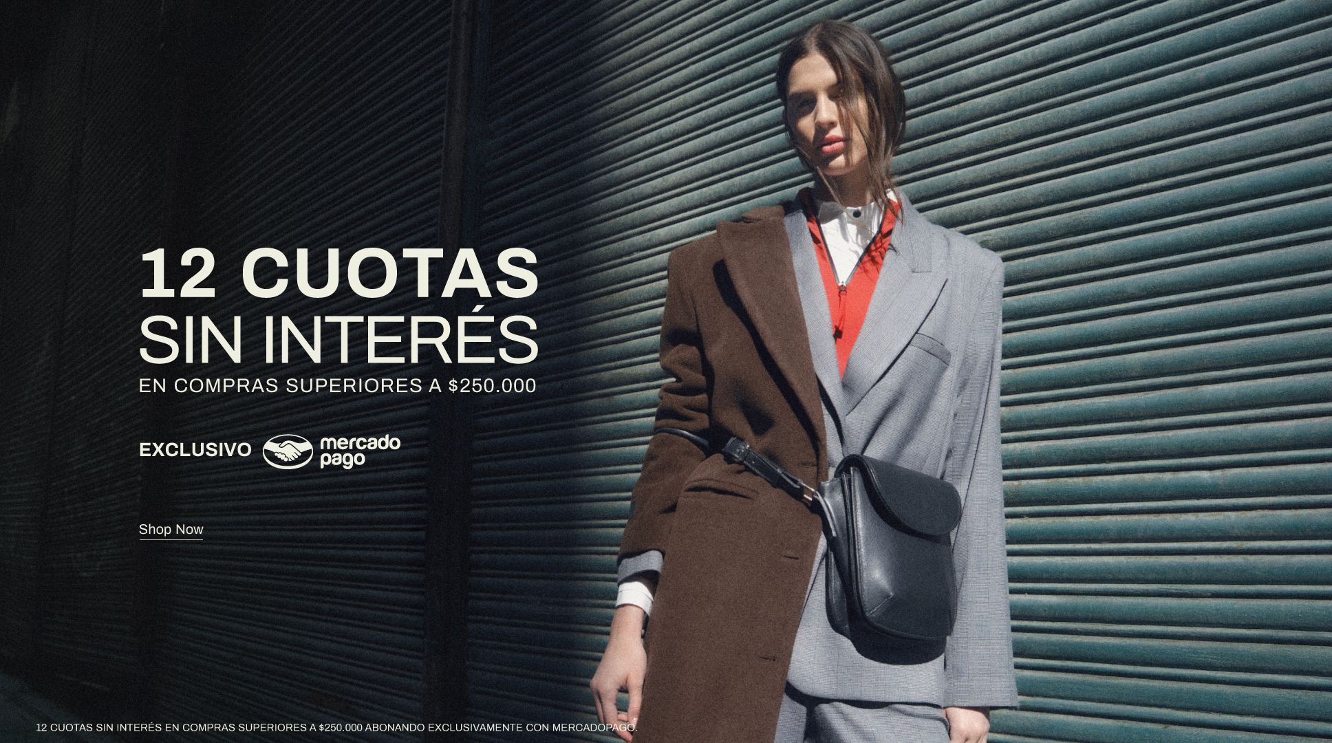 12 cuotas