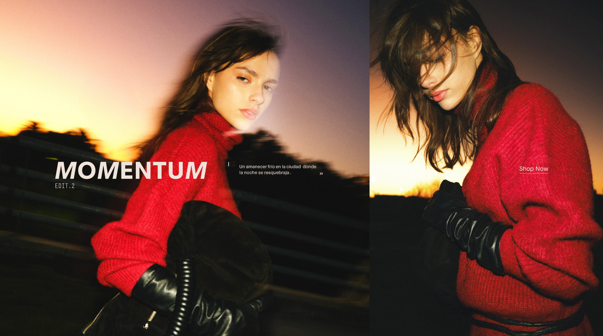 Momentum